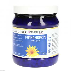 TOPINAMBUR PE GPH Kapseln