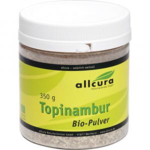 TOPINAMBUR PULVER Bio