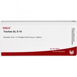 TRACHEA GL D 10 Ampullen