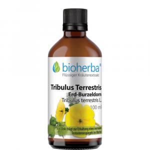 TRIBULUS TERRESTRIS ERDBURZELDORN Tinktur