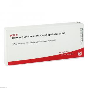 TRIGONUM vesicae et Musculus sphincter GL D 8 Amp.