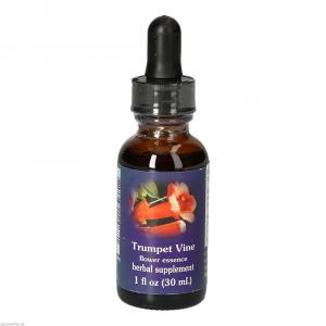 TRUMPET Vine FES kalifornische Blütenessenz Tropf.