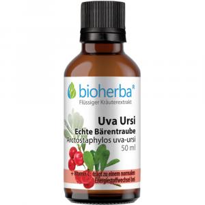 UVA URSI ECHTE Bärentraube Tinktur