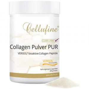 VERISOL Collagen Peptide Pulver