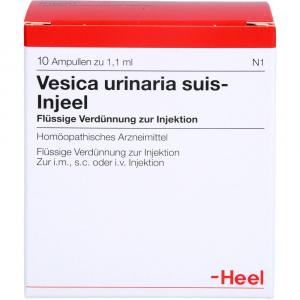VESICA URINARIA suis-Injeel Ampullen