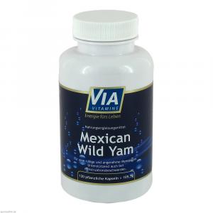 VIAVITAMINE Mexican wild Yam Kapseln