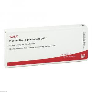 VISCUM MALI e planta tota D 12 Ampullen