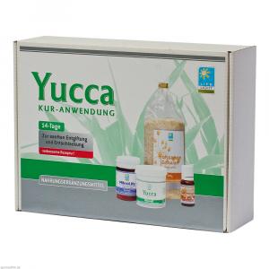 YUCCA KUR 14 Tage