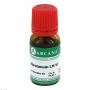 ABROTANUM LM 6 Dilution