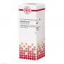 ABSINTHIUM D 2 Dilution