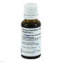 ABSINTHIUM D 2 Hanosan Dilution