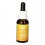 ABUND Essence austral.Bushblüten Mischung AUB Tro.