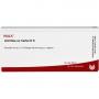 ACHILLEA EX Herba D 6 Ampullen