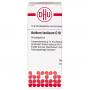 ACIDUM LACTICUM C 10 Globuli Ind.Fert.