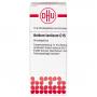 ACIDUM LACTICUM C 15 Globuli Ind.Fert.