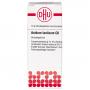 ACIDUM LACTICUM C 6 Globuli Ind.Fert.