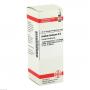 ACIDUM LACTICUM D 6 Dilution