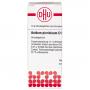 ACIDUM PICRINICUM C 100 Globuli Ind.Fert.