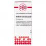 ACIDUM SUCCINICUM D 10 Globuli Ind.Fert.