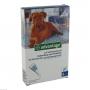 ADVANTAGE 400 Lösung Pipetten f.Hunde ab 25 kg