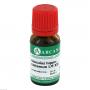 AESCULUS HIPPOCASTANUM LM 12 Dilution