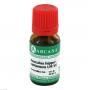 AESCULUS HIPPOCASTANUM LM 6 Dilution