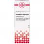 ALCHEMILLA VULGARIS D 2 Dilution