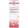 ALCHEMILLA VULGARIS D 4 Dilution