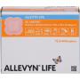 ALLEVYN Life 10,3x10,3 cm Silikonschaumverband