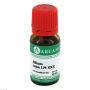 ALLIUM CEPA LM 30 Dilution