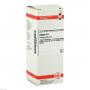 AMBRA D 6 Dilution