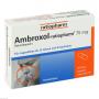 AMBROXOL-ratiopharm 75 mg Hustenlöser Retardkaps.