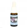 AMETHYST ESSENZ Tropfen