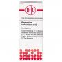 AMMONIUM CARBONICUM C 12 Globuli Ind.Fert.