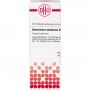 AMMONIUM CAUSTICUM D 6 Dilution