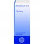 ANACARDIUM D 4 Dilution