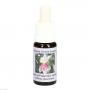 ANGEL-OF-Protection-Orchid Essenz Tropfen