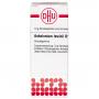 ANHALONIUM lewinii D 10 Globuli Ind.Fert.