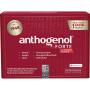 ANTHOGENOL forte Masquelier Original OPC Kapseln