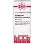 ANTIMONIUM SULFURATUM aurantiacum C 12 Glob.Ind.Fe