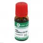 APIS MELLIFICA LM 12 Dilution