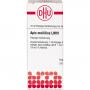 APIS MELLIFICA LM VI Dilution