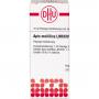 APIS MELLIFICA LM XXIV Dilution