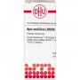 APIS MELLIFICA LM XXX Dilution