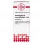 APOMORPHINUM HYDROCHLORICUM C 200 Globuli Ind.Fert