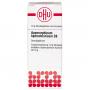 APOMORPHINUM HYDROCHLORICUM C 6 Globuli Ind.Fert.