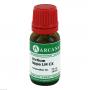 ARCTIUM lappa LM 110 Dilution