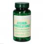 ARGININPYROGLUTAMAT 500 mg Bios Kapseln