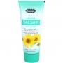 ARNIKA BALSAM ReAm Quartett