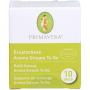 AROMASTREAM To Go Ersatzvliese 10 St